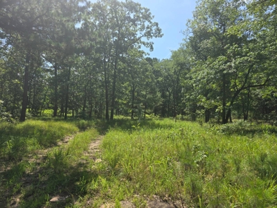 3.2 ± Acres of Mountain Land for Sale in Moyers, OK - image 1