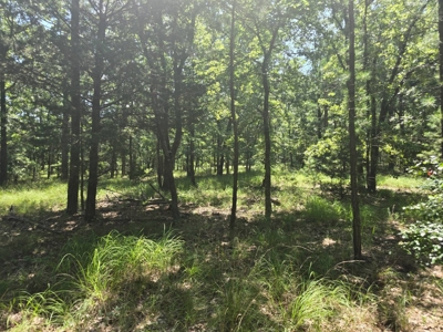 3.2 ± Acres of Mountain Land for Sale in Moyers, OK - image 2