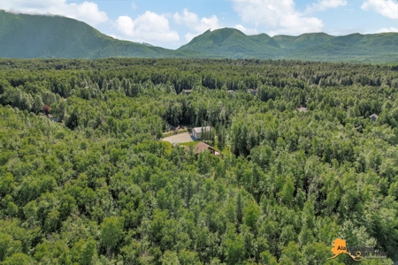 Home on Private Acreage for Sale in Chugiak, Alaska - image 14
