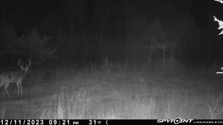 86.66 ± ACRES HUNTING LAND for Sale in Rattan, OK - image 20