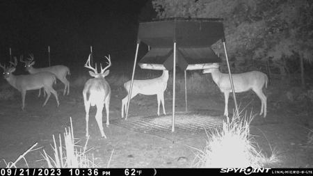 86.66 ± ACRES HUNTING LAND for Sale in Rattan, OK - image 8