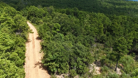Hunting Property on Panola Mountain - image 8