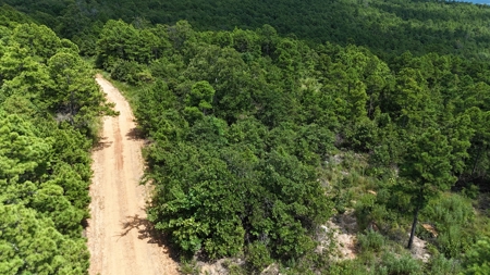 Hunting Property on Panola Mountain - image 9