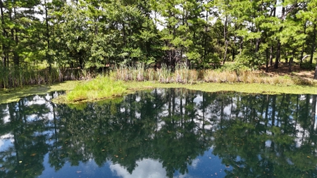 Hunting Property on Panola Mountain - image 2