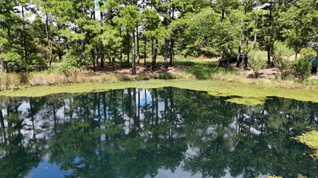 Hunting Property on Panola Mountain - image 4