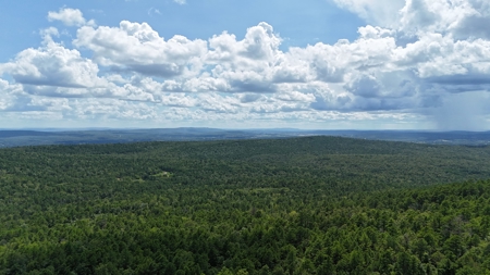 Hunting Property on Panola Mountain - image 10