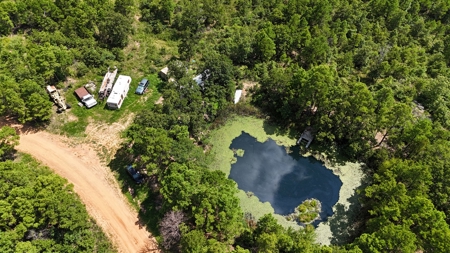 Hunting Property on Panola Mountain - image 1