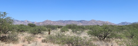 Spectacular AZ property with panoramic mountain view - image 4