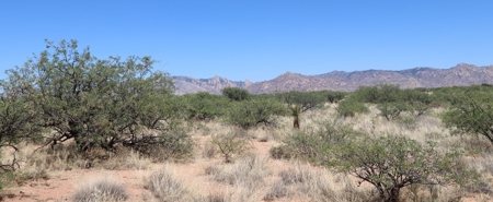 Spectacular AZ property with panoramic mountain view - image 5