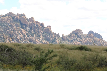 Spectacular AZ property with panoramic mountain view - image 1