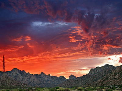 Spectacular AZ property with panoramic mountain view - image 25