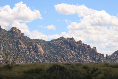 Spectacular AZ property with panoramic mountain view - image 2