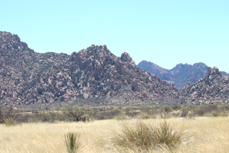 Spectacular AZ property with panoramic mountain view - image 15