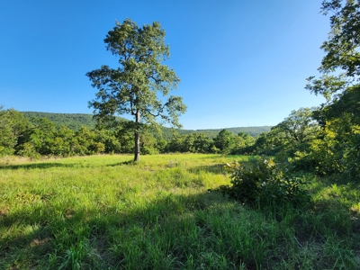 Wildhorse Creek Recreational Property & Cabin - image 14