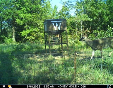Wildhorse Creek Recreational Property & Cabin - image 39