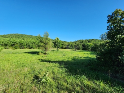 Wildhorse Creek Recreational Property & Cabin - image 15