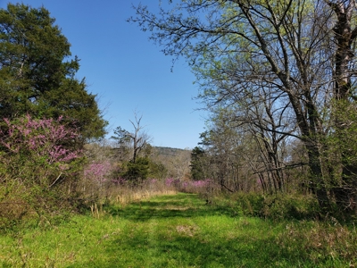 Wildhorse Creek Recreational Property & Cabin - image 16