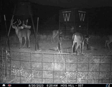 Wildhorse Creek Recreational Property & Cabin - image 37