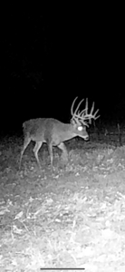 Wildhorse Creek Recreational Property & Cabin - image 41