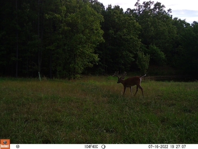 Wildhorse Creek Recreational Property & Cabin - image 34