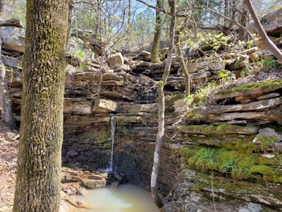 Wildhorse Creek Recreational Property & Cabin - image 7