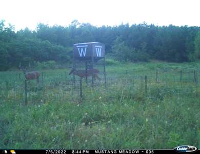 Wildhorse Creek Recreational Property & Cabin - image 32