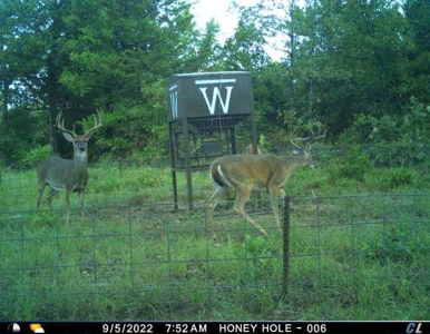 Wildhorse Creek Recreational Property & Cabin - image 40