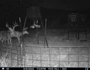 Wildhorse Creek Recreational Property & Cabin - image 36