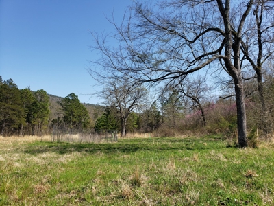 Wildhorse Creek Recreational Property & Cabin - image 18