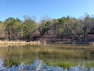 Wildhorse Creek Recreational Property & Cabin - image 6