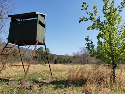 Wildhorse Creek Recreational Property & Cabin - image 17