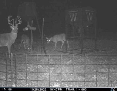 Wildhorse Creek Recreational Property & Cabin - image 35