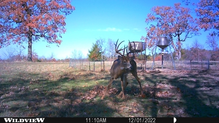Wildhorse Creek Recreational Property & Cabin - image 30
