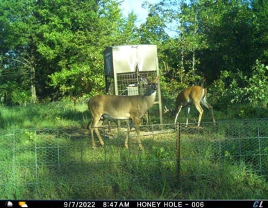 Wildhorse Creek Recreational Property & Cabin - image 38