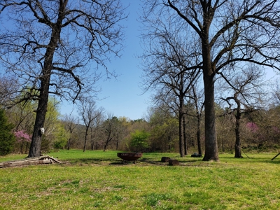 Wildhorse Creek Recreational Property & Cabin - image 9