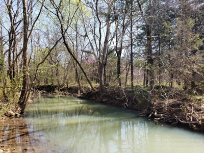 Wildhorse Creek Recreational Property & Cabin - image 8