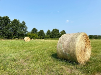 Vernon County Missouri Crop Land For Sale, Bronaugh, MO - image 17