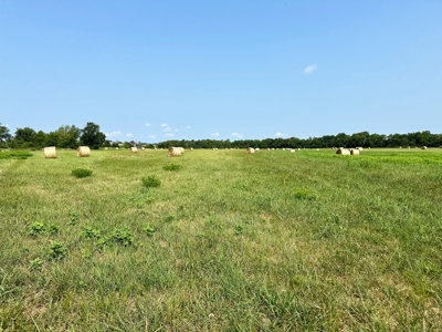Vernon County Missouri Crop Land For Sale, Bronaugh, MO - image 11
