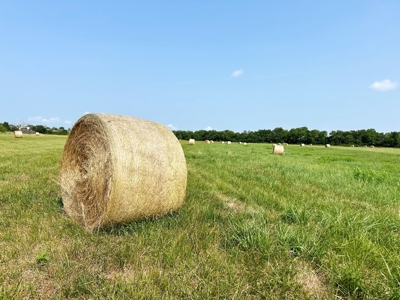 Vernon County Missouri Crop Land For Sale, Bronaugh, MO - image 13