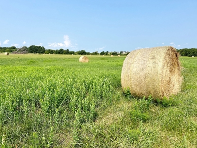 Vernon County Missouri Crop Land For Sale, Bronaugh, MO - image 15