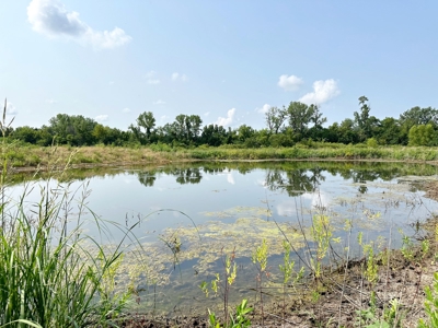 Vernon County Missouri Crop Land For Sale, Bronaugh, MO - image 16