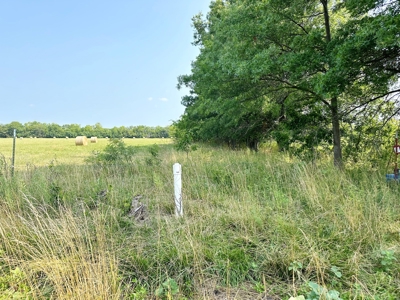 Vernon County Missouri Crop Land For Sale, Bronaugh, MO - image 18