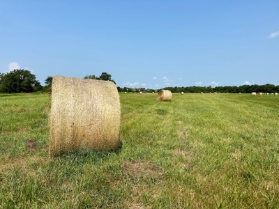Vernon County Missouri Crop Land For Sale, Bronaugh, MO - image 12