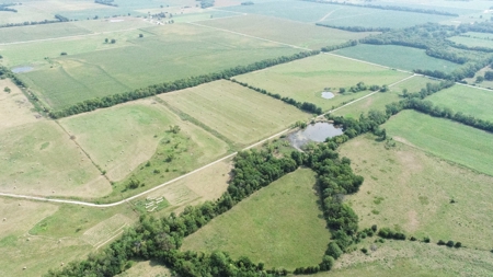 Vernon County Missouri Crop Land For Sale, Bronaugh, MO - image 8