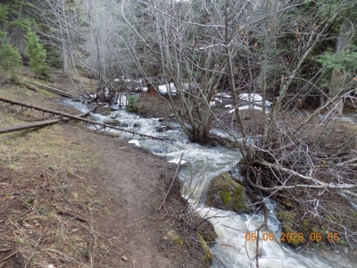 Off-Grid Mountain Cabin on Acreage with Wildlife! - image 2