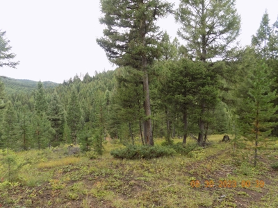 Off-Grid Mountain Cabin on Acreage with Wildlife! - image 30