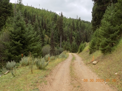 Off-Grid Mountain Cabin on Acreage with Wildlife! - image 33