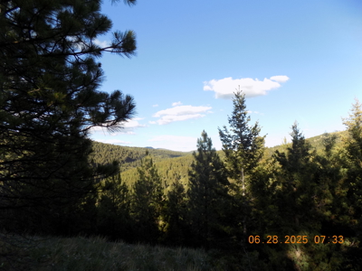 Off-Grid Mountain Cabin on Acreage with Wildlife! - image 39