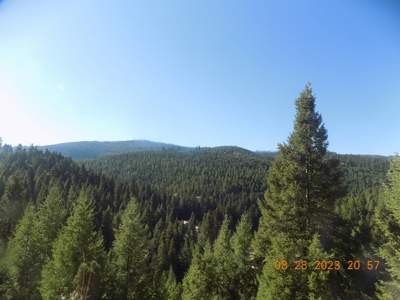 Off-Grid Mountain Cabin on Acreage with Wildlife! - image 20