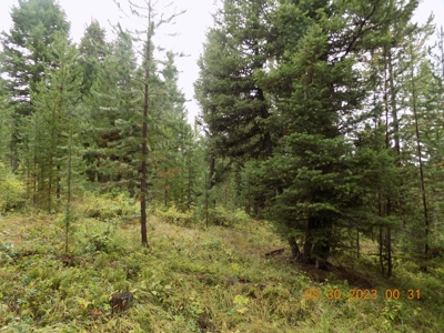 Off-Grid Mountain Cabin on Acreage with Wildlife! - image 34